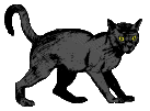 blackcat.gif
