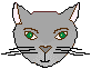 catface4.gif